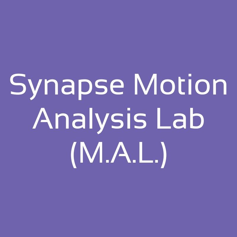 Motion Analysis Lab
