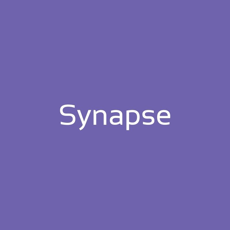 Synapse